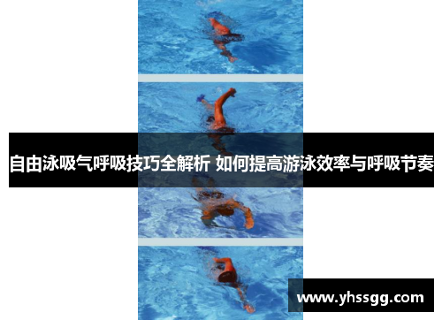 自由泳吸气呼吸技巧全解析 如何提高游泳效率与呼吸节奏