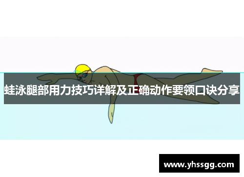 蛙泳腿部用力技巧详解及正确动作要领口诀分享