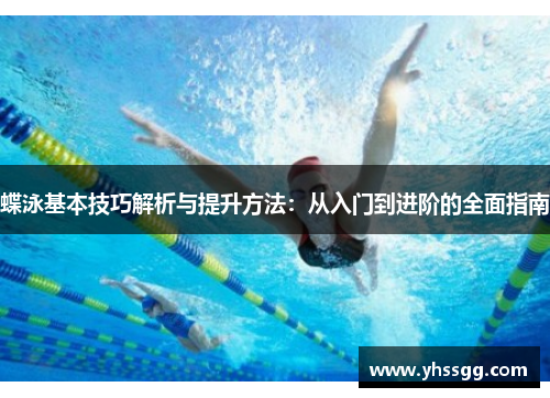 蝶泳基本技巧解析与提升方法：从入门到进阶的全面指南